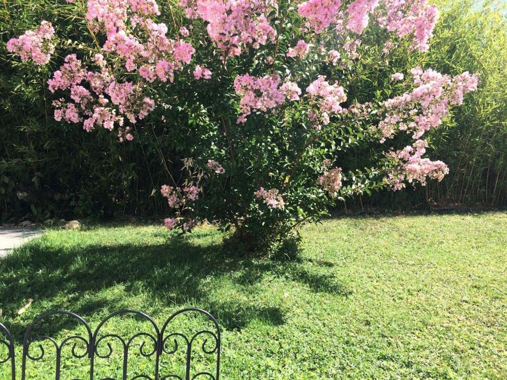 Cottage La Villa Bolero Saint-Cyr-sur-Loire Dış mekan fotoğraf